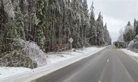 Gov. Whitmer tours ice storm damaged northern Michigan | WGVU NEWS
