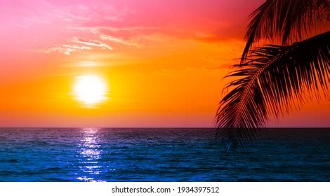 Image result for Sunset Climb O2