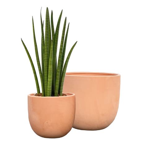 Olly & Rose Terracotta Plant Pots Set Large Ceramic India | Ubuy