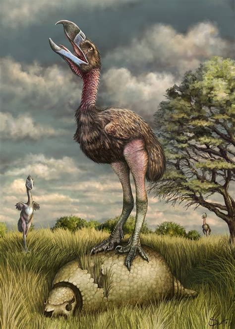 Image result for Extinct Bricks Phorusrhacos