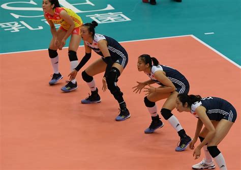 解锁中国女排2019赛程:8月奥运资格赛 9月世界杯_手机新浪网