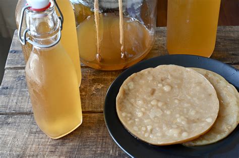 How to make kombucha from scratch - Gourmet Vegetarian Kitchen