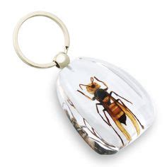 Bug Keychains 的图像结果