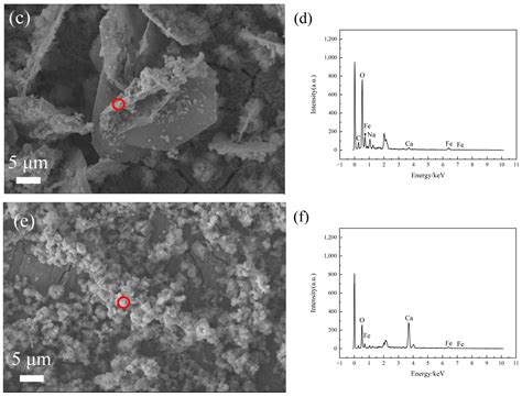 The Role of the Bactericidal Mechanism of Copper Elements and Its ...