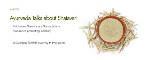 Kapiva Organic Shatavari Powder 100gms | Promotes Lactation Naturally ...