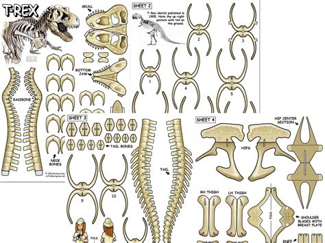 T-rex, T-rex Skeleton, Paper Dinosaur Model, Papercraft Dinosaur - Etsy ...