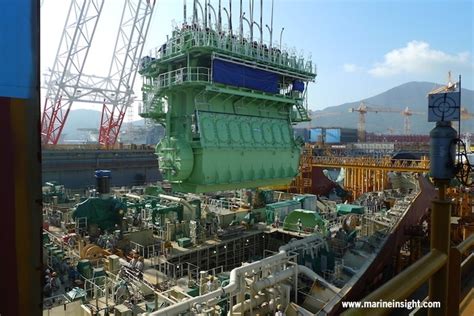 De stikstofproblematiek: oorzaak, gevolgen en oplossingen - Actualiteit ...