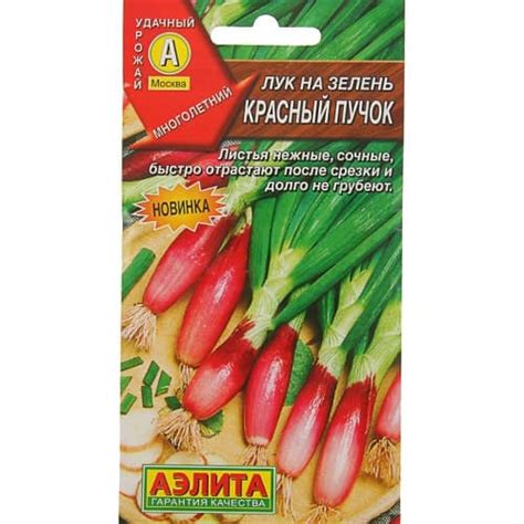 Лук на зелень Красный пучок Аэлита (98316): купить семена почтой в ...