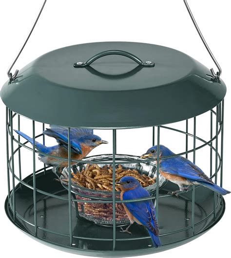 Amazon.com : Kingsyard Bluebird Feeders for Outdoors Hanging, All Metal ...