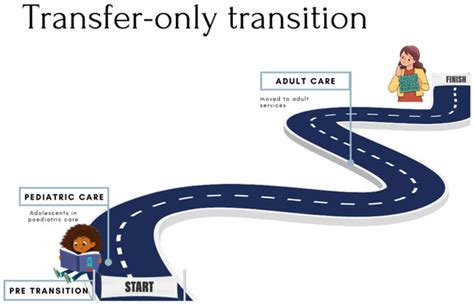 Mapping the Transition of Adolescents to Adult HIV Care: A Mixed ...