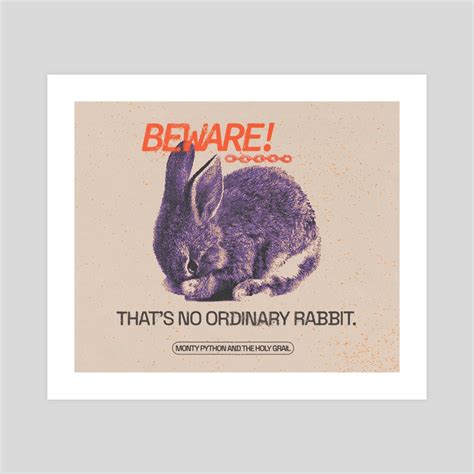 Python Rabbit 的图像结果