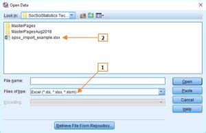 How to Import File in SPSS 的图像结果
