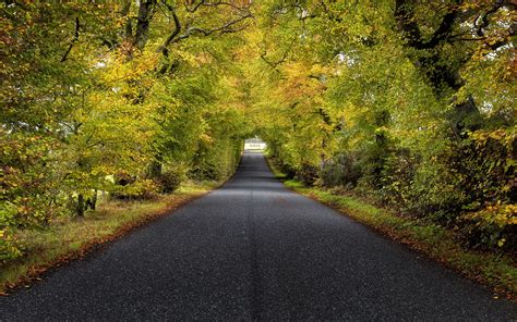 Download wallpaper 3840x2400 trees, road, autumn, scotland 4k ultra hd ...