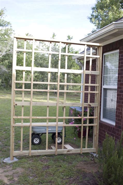 Image result for How to Build a Trellis