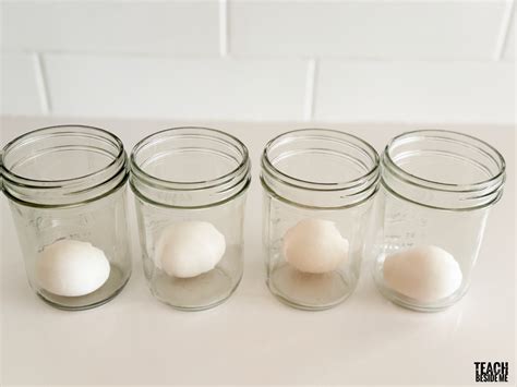 The Rubber Egg Science Experiment - Teach Beside Me