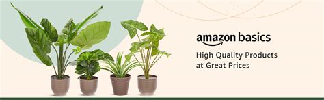 amazon basics Artificial Plants with Pot| Multi Variety | Durable ...