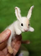 Image result for Baby Rabbit Art Prints