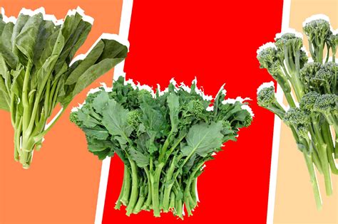 The Difference Between Broccolini, Broccoli Rabe, and Chinese Broccoli ...