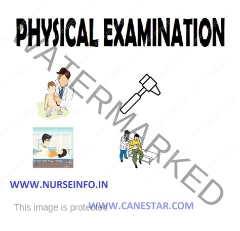 Physical Examine 的图像结果