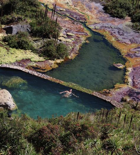 ESPELETIA.TRIPS.MURILLO (2026) All You Need to Know BEFORE You Go (with ...