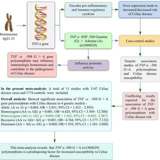 Image result for Graphical Abstract and Meta-Analysis