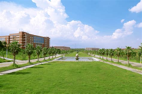 中国人民大学校园风景（2019）|人民大学|校园|风景_新浪新闻