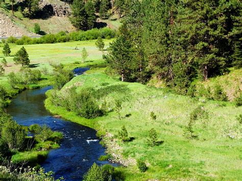 8 Signs You Desperately Need a Vacation - Hello Travel Buzz