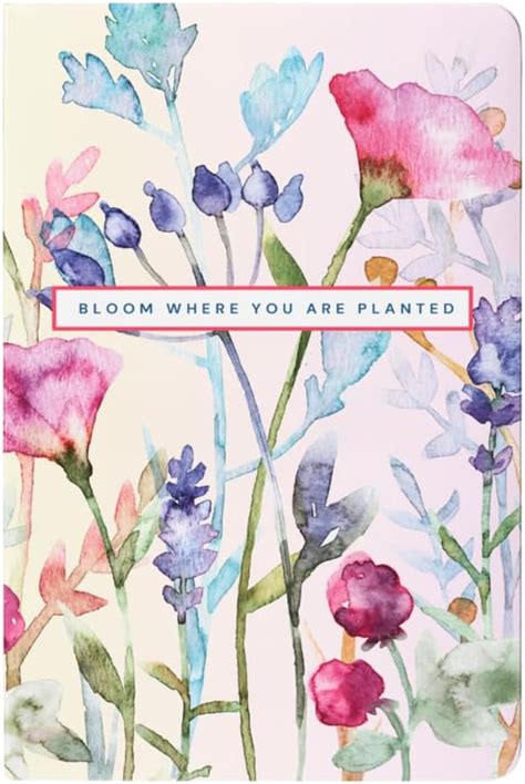 LAURET BLANC Undated A5 Daily Planner and Organizer, Gratitude and ...