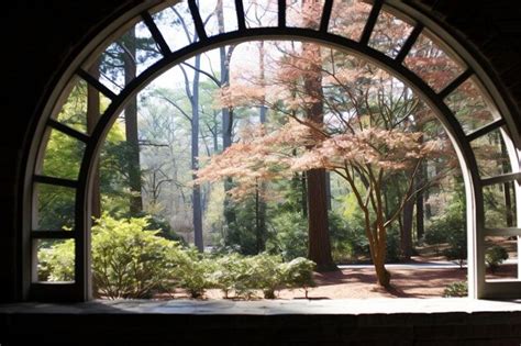 Spring Window View 的图像结果