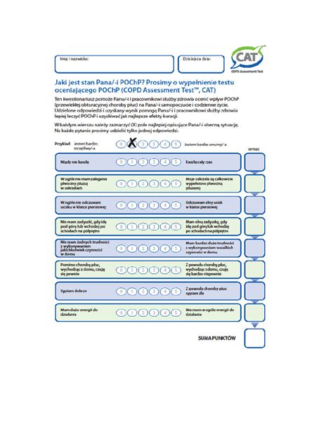Image result for Cat Intelligence Test