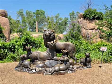 Oklahoma City Zoo: Information, Tickets and Reviews