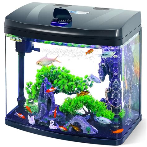 13 Gallon Glass Aquarium Starter Kit With Flip Top Feeding | Desertcart ...