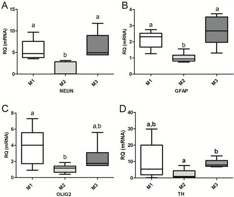 Proneurogenic Actions of FSH During Directed Differentiation of Neural ...