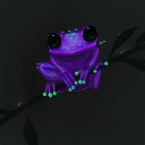 Image result for Purple Tree Frog