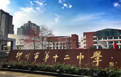 外国语学院汉语国际教育专业组织来华留学生参观柳州工业博物馆-广西科技大学