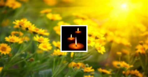 Obituary | Nancy Gray Snow of St. Charles, Illinois | Harvey-Douglas ...