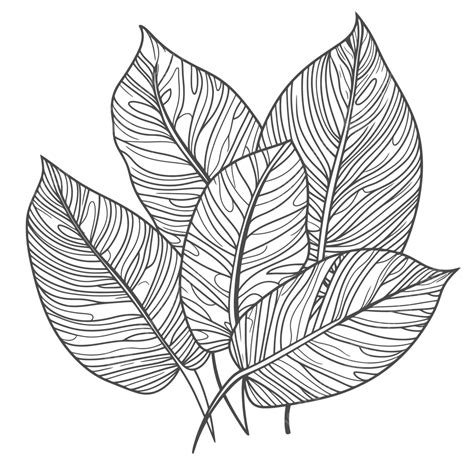 Tropical Leaves Coloring Pages
