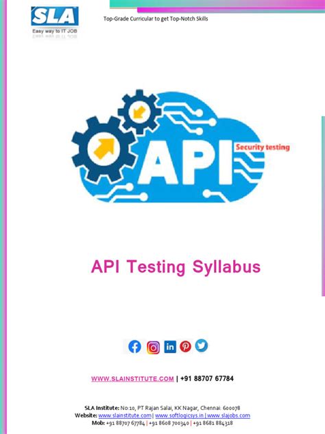 api testing python course 的图像结果