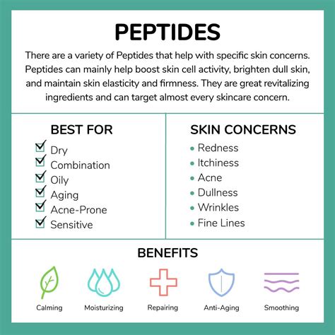 What Are Peptides In Skincare