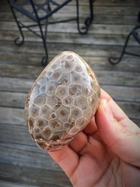 Beautifully Hand Polished Petoskey Stone!!