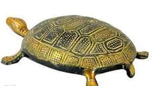 Buy PRANCHI Metals Brass Metal Tortoise Kachua | Collectible Showpiece ...