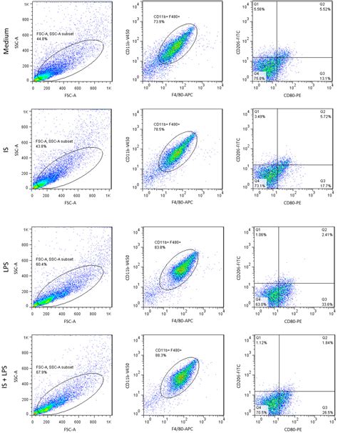 Uremic Toxin Indoxyl Sulfate Promotes Macrophage-Associated Low-Grade ...