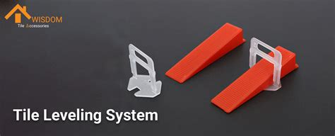 Image result for Tile Lippage System