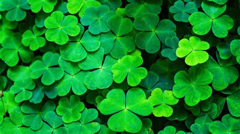 St. Patrick’s Day Traditions ‑ Food, Ireland, America | HISTORY