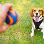 JavaScript Fetch Async Meme 的图像结果