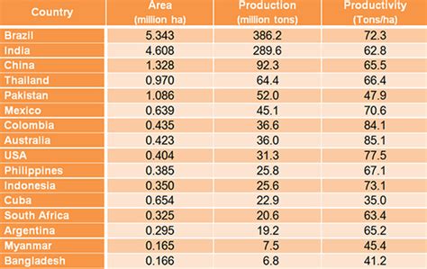 Expert System for Sugarcane