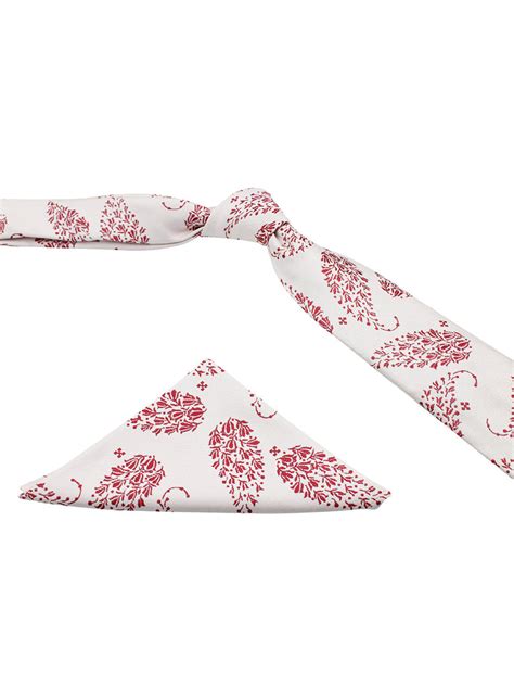 Kavove The Twining Paisley Pink Necktie and Pocket Square Gift Box