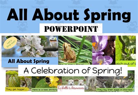Image result for Draw Spring in PowerPoint