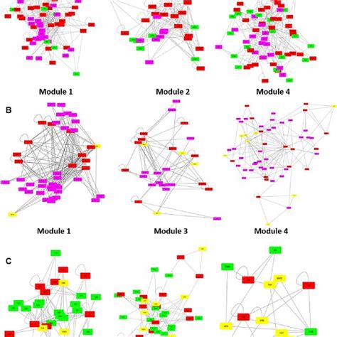 Image result for Mcode Tutorial Cytoscape