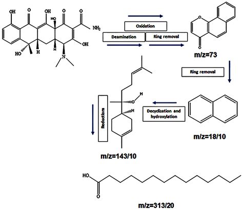 Degradation of Tetracycline Using a Magnetic Gadolinium-Decorated ...